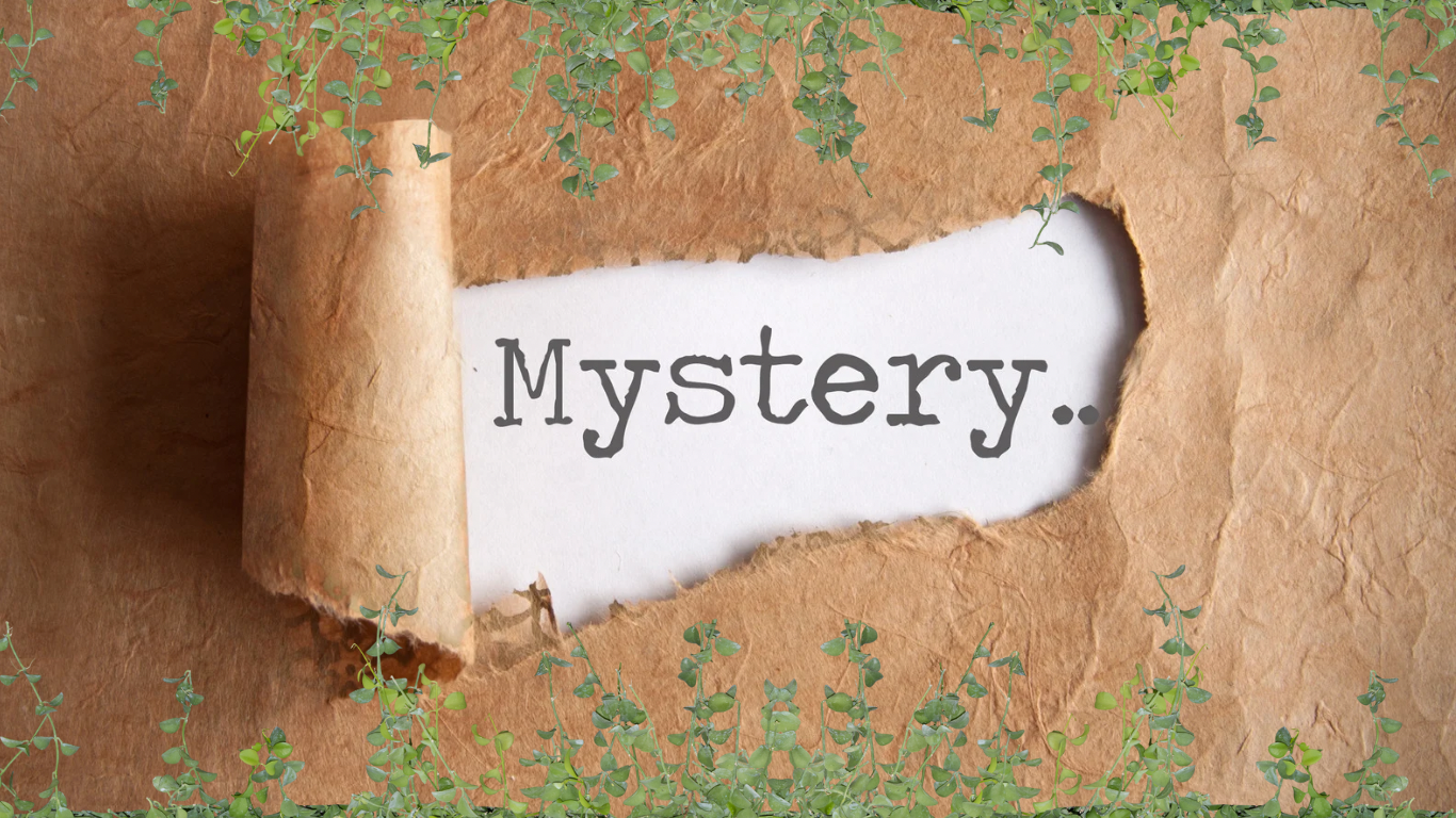 Mystery Plant Box