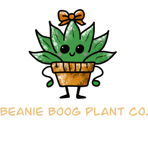 Beanie Boog Plant Co