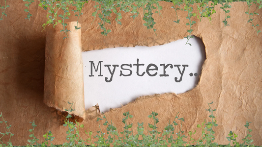 Mystery Plant Box